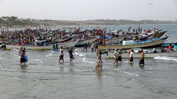 41,15 مليون دولار لإنعاش الثروة السمكية في البحر الأحمر وخليج عدن